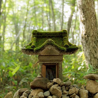 ブラジルカイマン