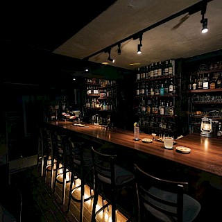 ブラジルレインボーボア