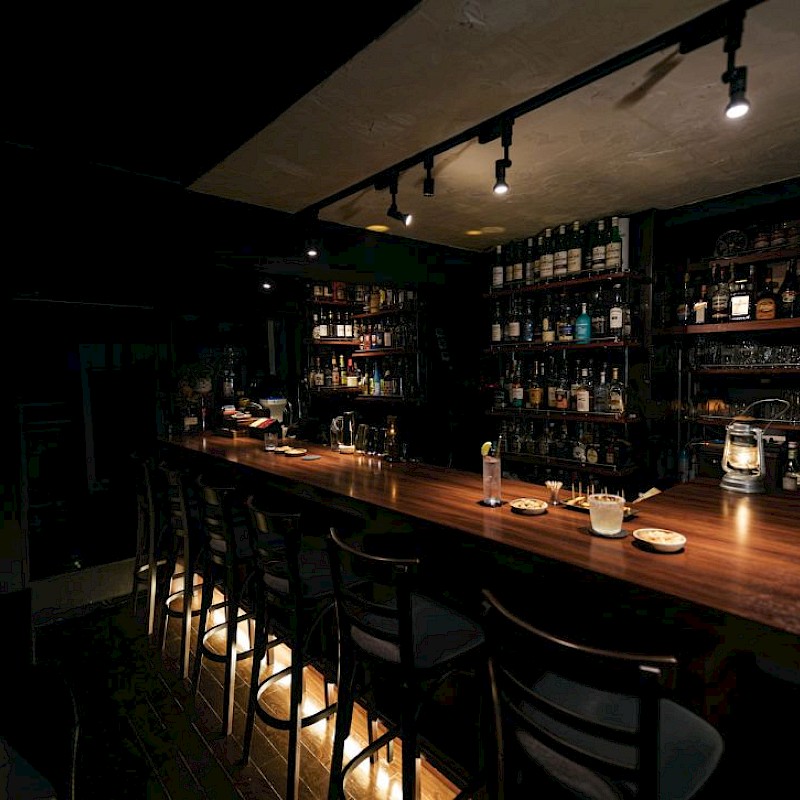 ブラジルレインボーボア